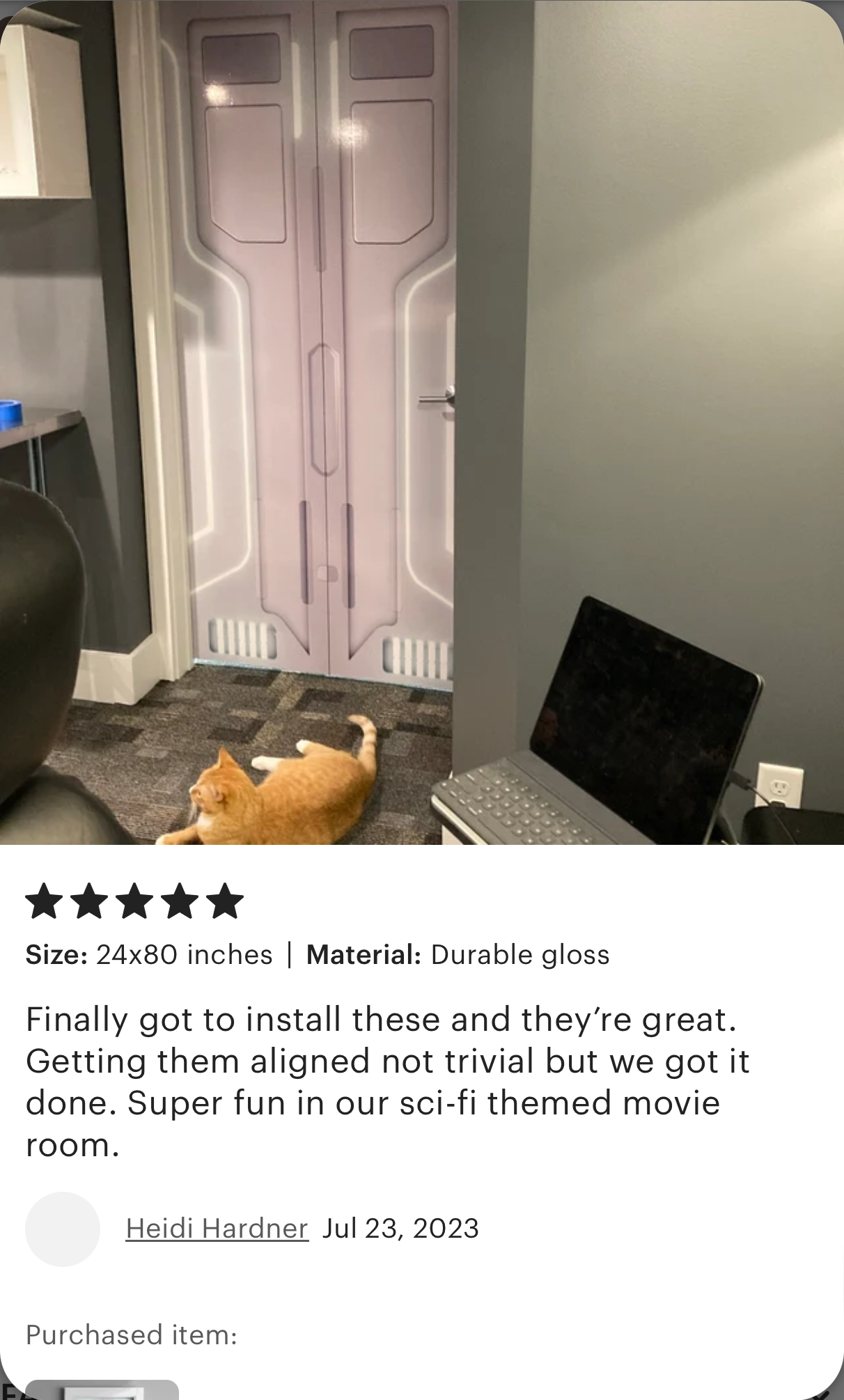 Futuristic door murals