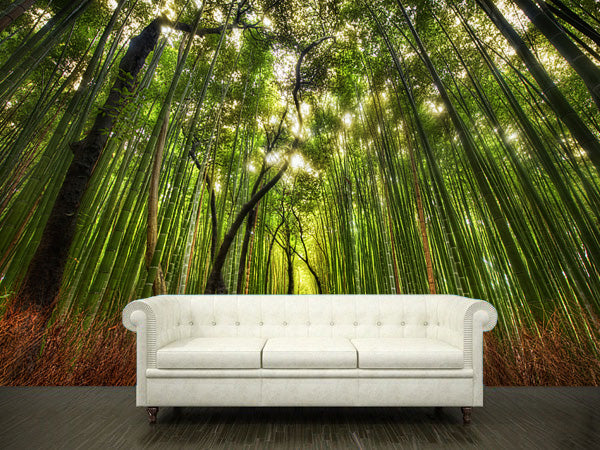 Bamboo forest wallpaper