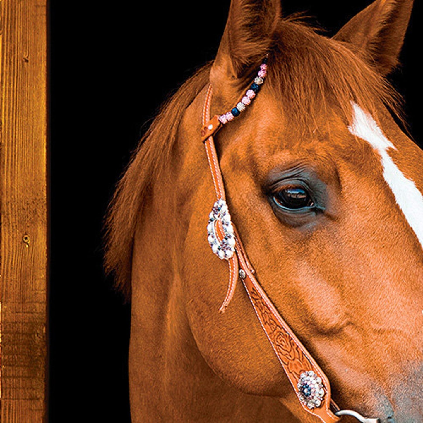Stickers doors 1 piece - Horse  in Stall mural, self-adhesive