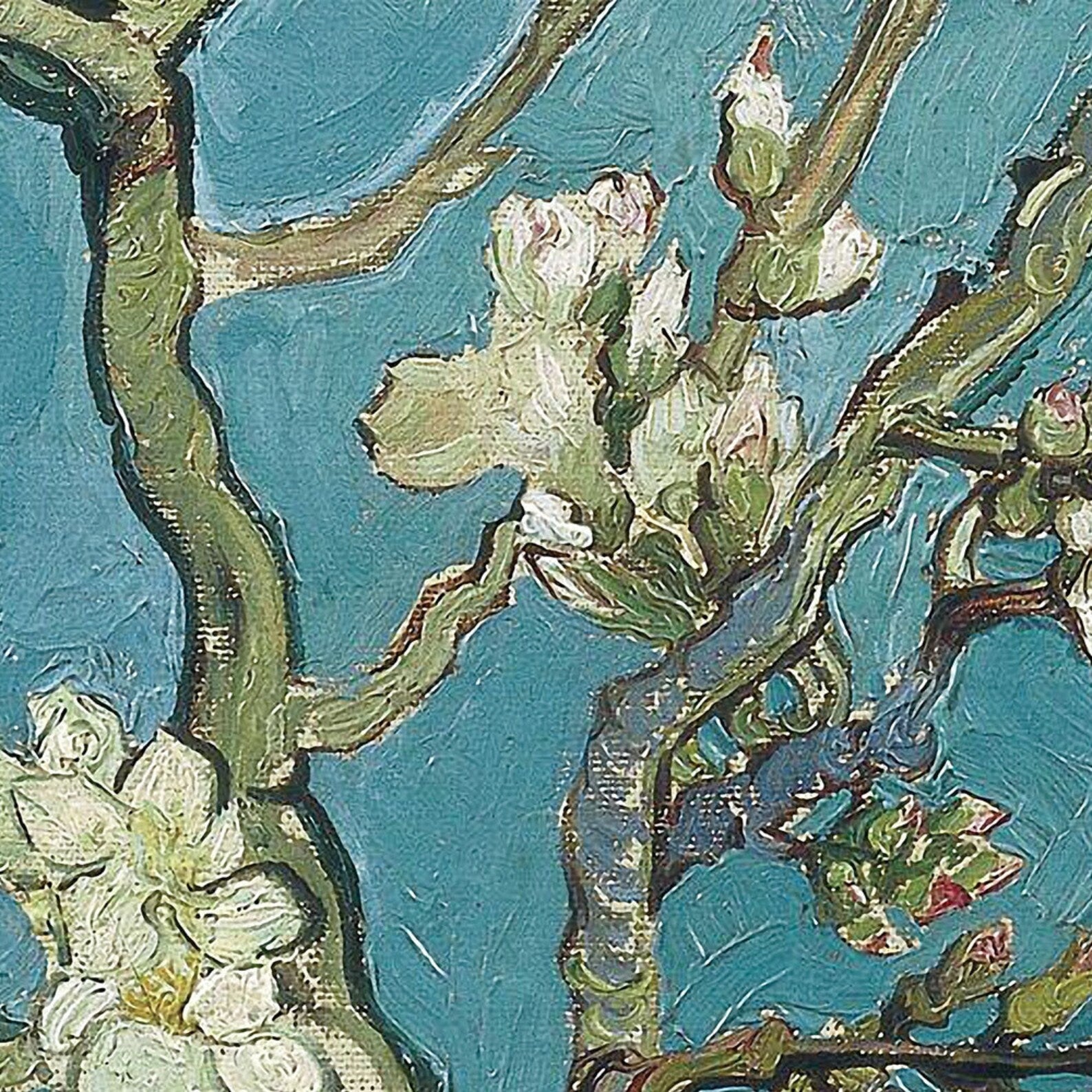 Dementia friendly wall murals. Van Gogh Almond Tree door sticker mural