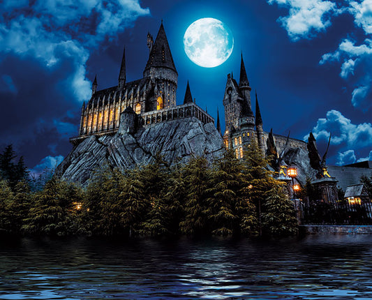 Wizards Castle - Adhesive wall mural - nursery