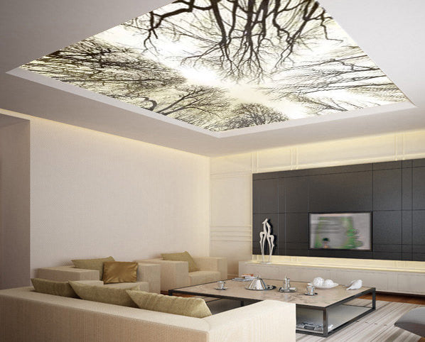Ceiling STICKER MURAL sky trees forest airly air decole poster - Pulaton stickers and posters
- 1