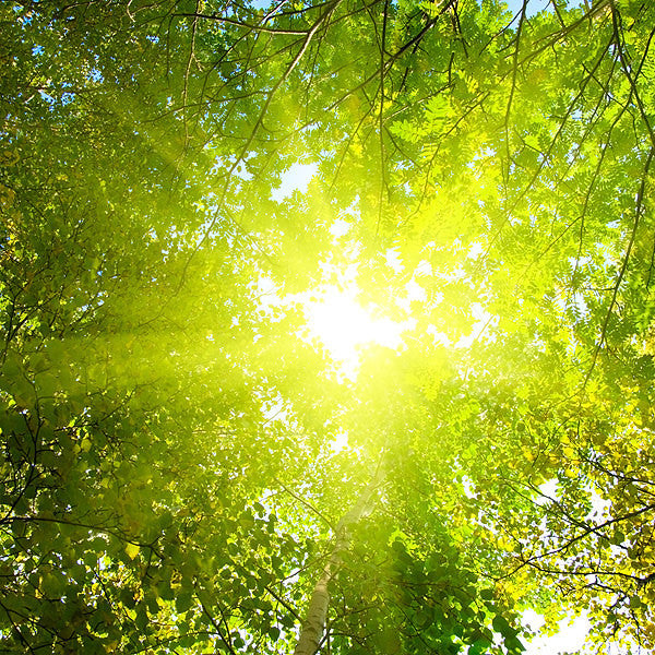 ceiling stickers for living room