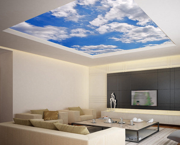 blue sky ceiling design