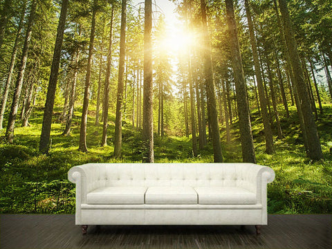 Forest - Adhesive wall murals