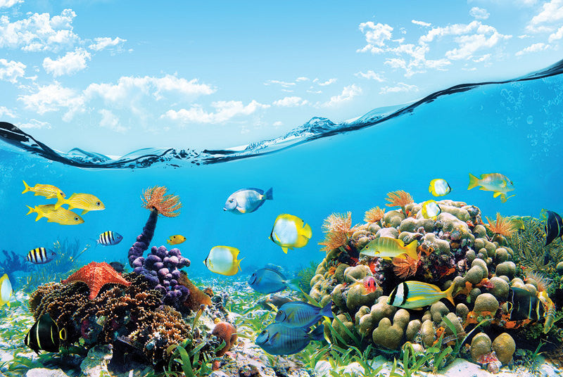 Ocean wallpaper. under the sea mural wall stickers