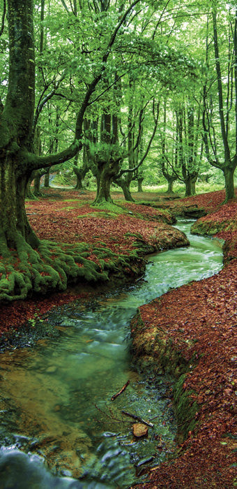 Wall Sticker MURAL forest brook stream river trees decole poster - Pulaton stickers and posters
- 2