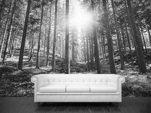 Forest wall mural decal - sticky wall murals