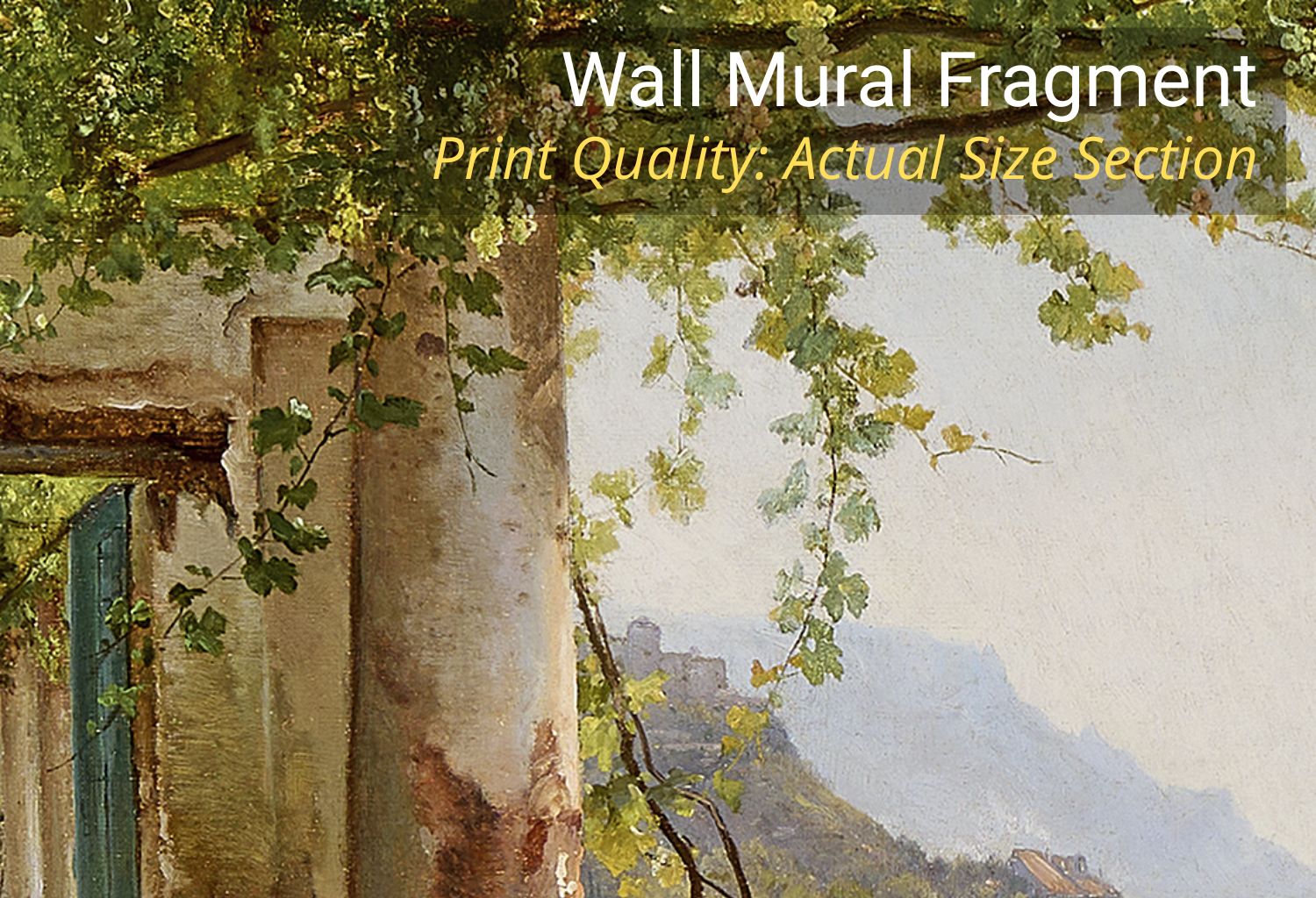 Close-up texture of peel and stick self-adhesive vinyl wall mural showing fine art oil painting details.