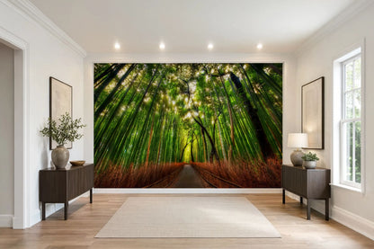 Bamboo Forest Wall Mural Peel and Stick Nature Wallpaper