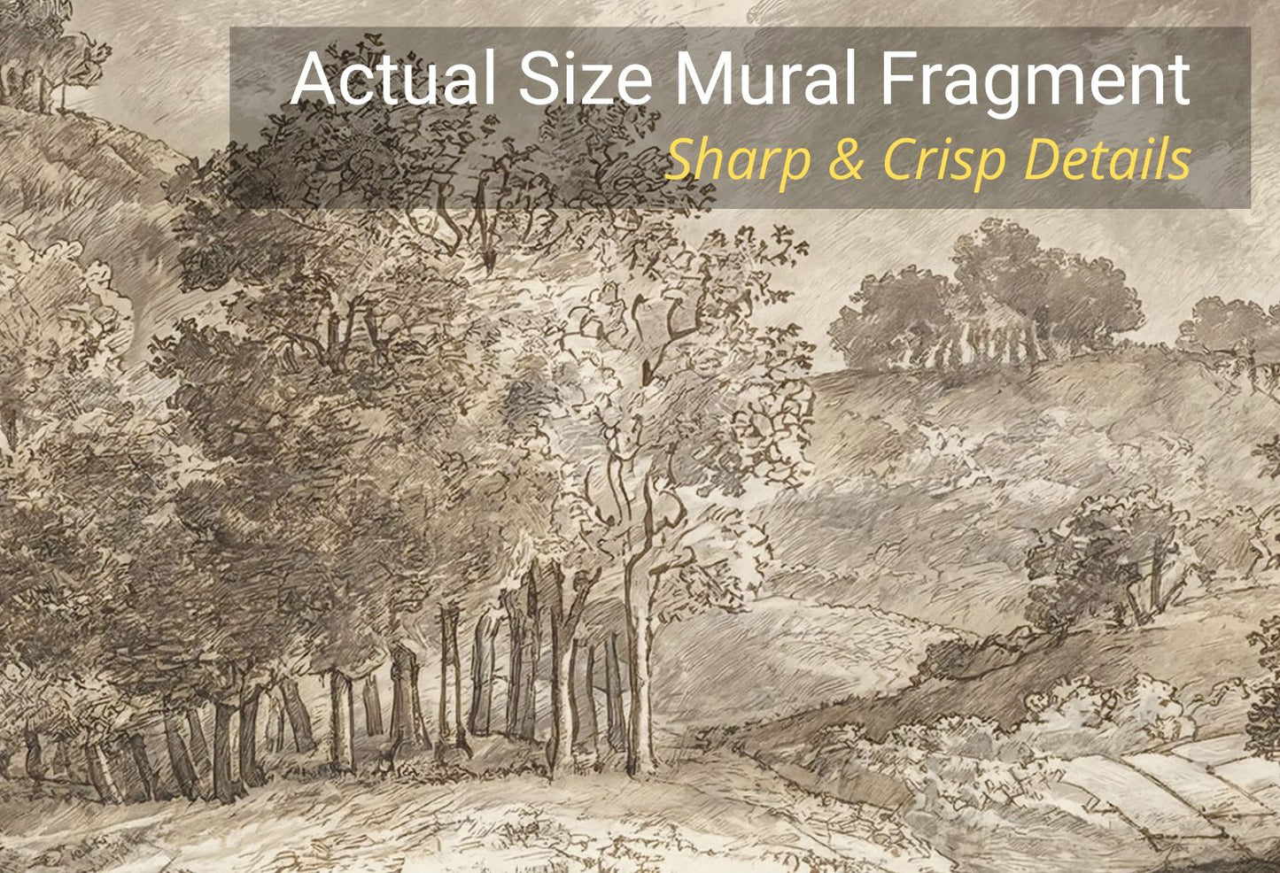 Fine art antique sketch wallpaper on laminated vinyl showing detailed ink-drawn trees and rolling hills.