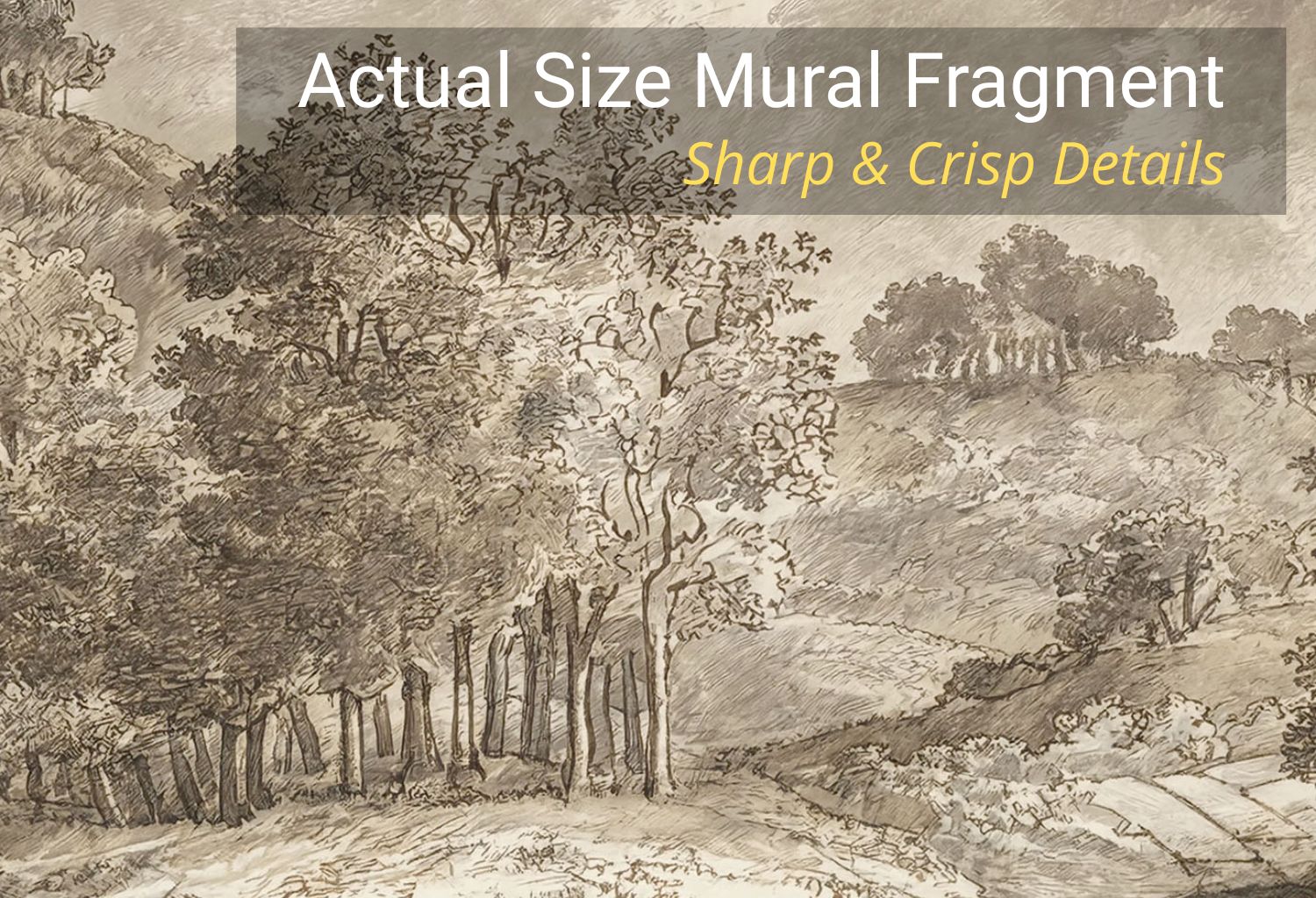 Fine art antique sketch wallpaper on laminated vinyl showing detailed ink-drawn trees and rolling hills.