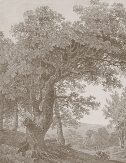 Vintage Landscape Wall Mural | Monochrome Wallpaper | 19th Century Scenic Art | Large Wall Tapestry
