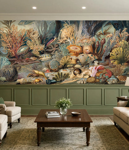 Detailed 19th century marine biology illustration wallpaper on a living room feature wall