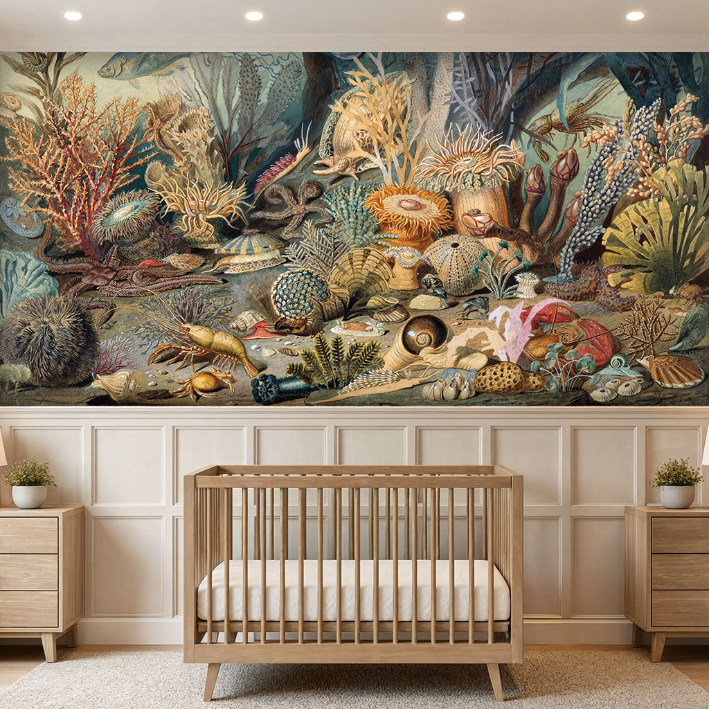 Vintage sea life classical painting wall mural installed above white wainscoting in a nursery