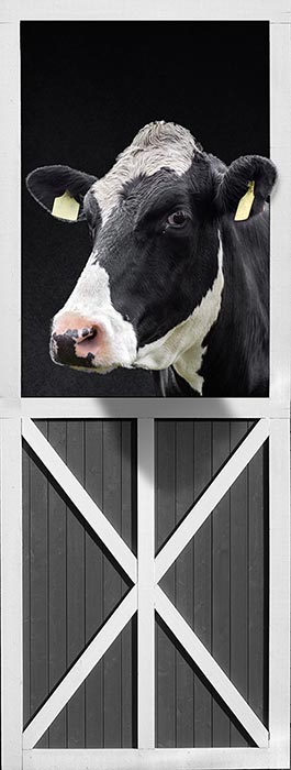 Rustic Cow Door Wrap | Black and White Cattle Decal, Peel & Stick, 1-Piece