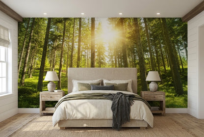 Traditional non-woven wall covering displaying a peaceful morning forest scene with rich organic textures.