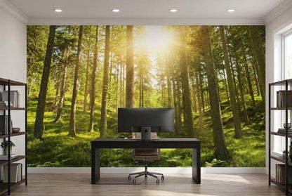 Close-up view of vibrant green moss and forest floor vegetation illuminated by warm golden sunlight for a modern accent wall.