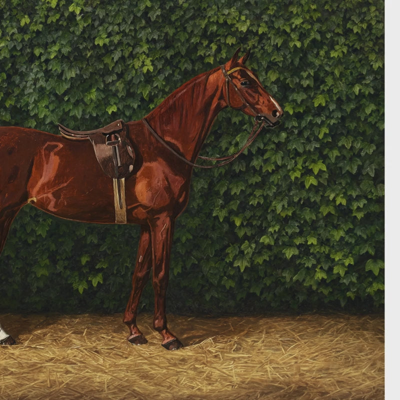 High-definition panoramic vintage wallpaper mural showing a graceful brown horse on a straw ground with an ivy background, installed in a luxury cottage mudroom.