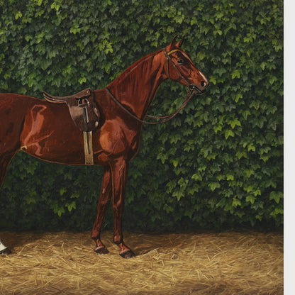 High-definition panoramic vintage wallpaper mural showing a graceful brown horse on a straw ground with an ivy background, installed in a luxury cottage mudroom.