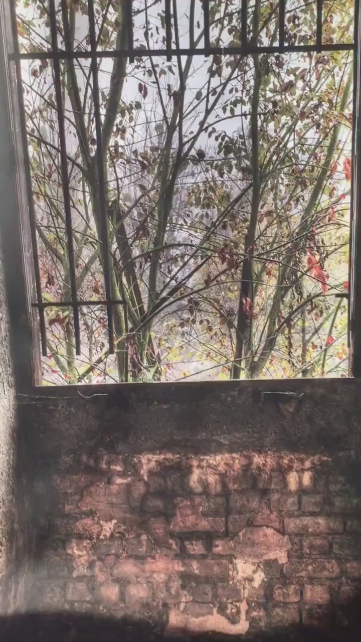 Old Window to Garden door sticker mural