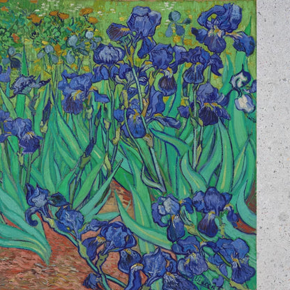 Van Gogh Irises Wallpaper | Peel and Stick Wall Mural | Fine Art Impressionist