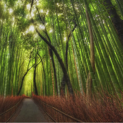 Japandi style accent wall covered in a seamless bamboo grove print.