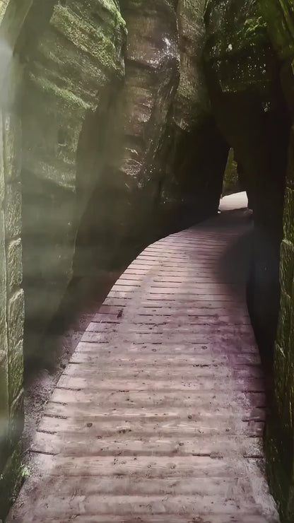 3D Medieval Door Wrap Mossy Stone Archway Path Decal Skin