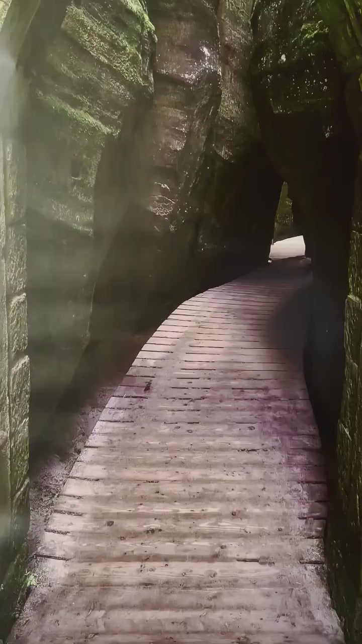 3D Medieval Door Wrap Mossy Stone Archway Path Decal Skin
