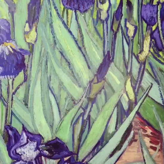 Van Gogh Irises