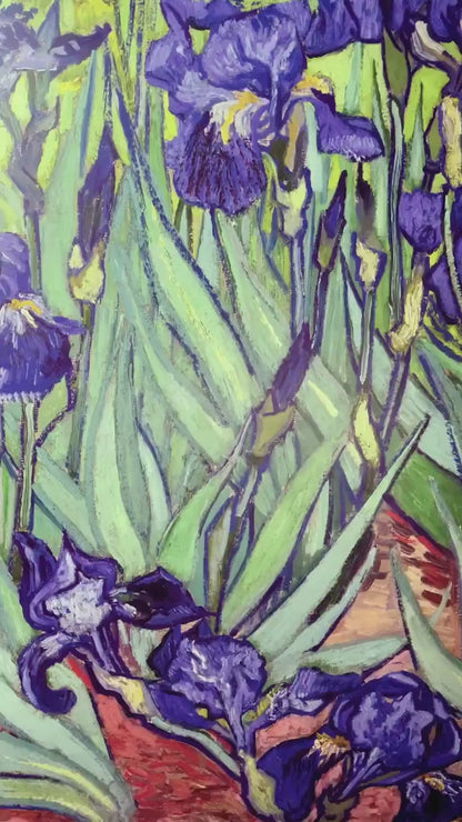 Van Gogh Irises