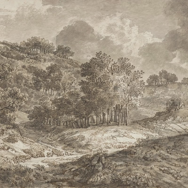 A 19th-century sepia forest landscape etching wall mural by Anthonie Waterloo with trees, hills, and clouds.