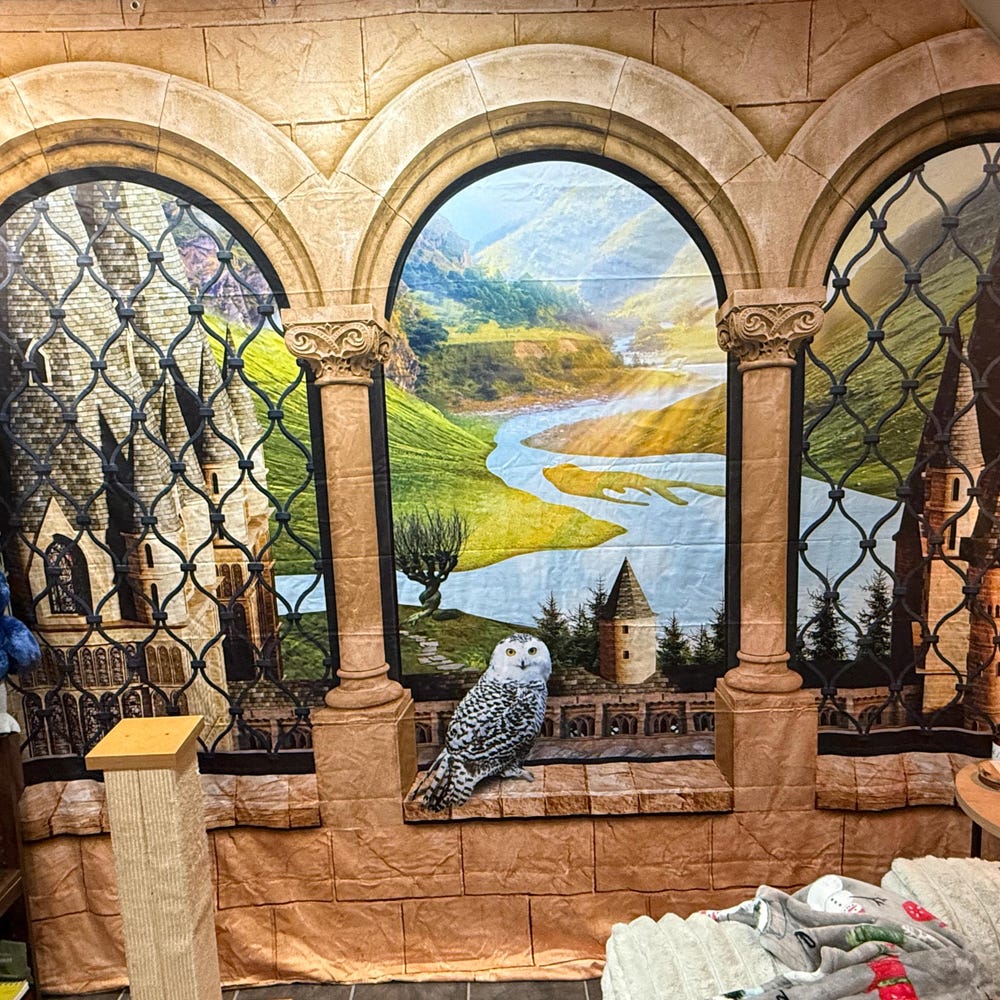 Castle Wall Mural - Sticky Decal, Wallpaper or Tapestry
