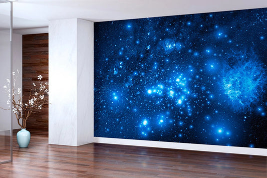 Night Sky Stars Wall Mural Decal