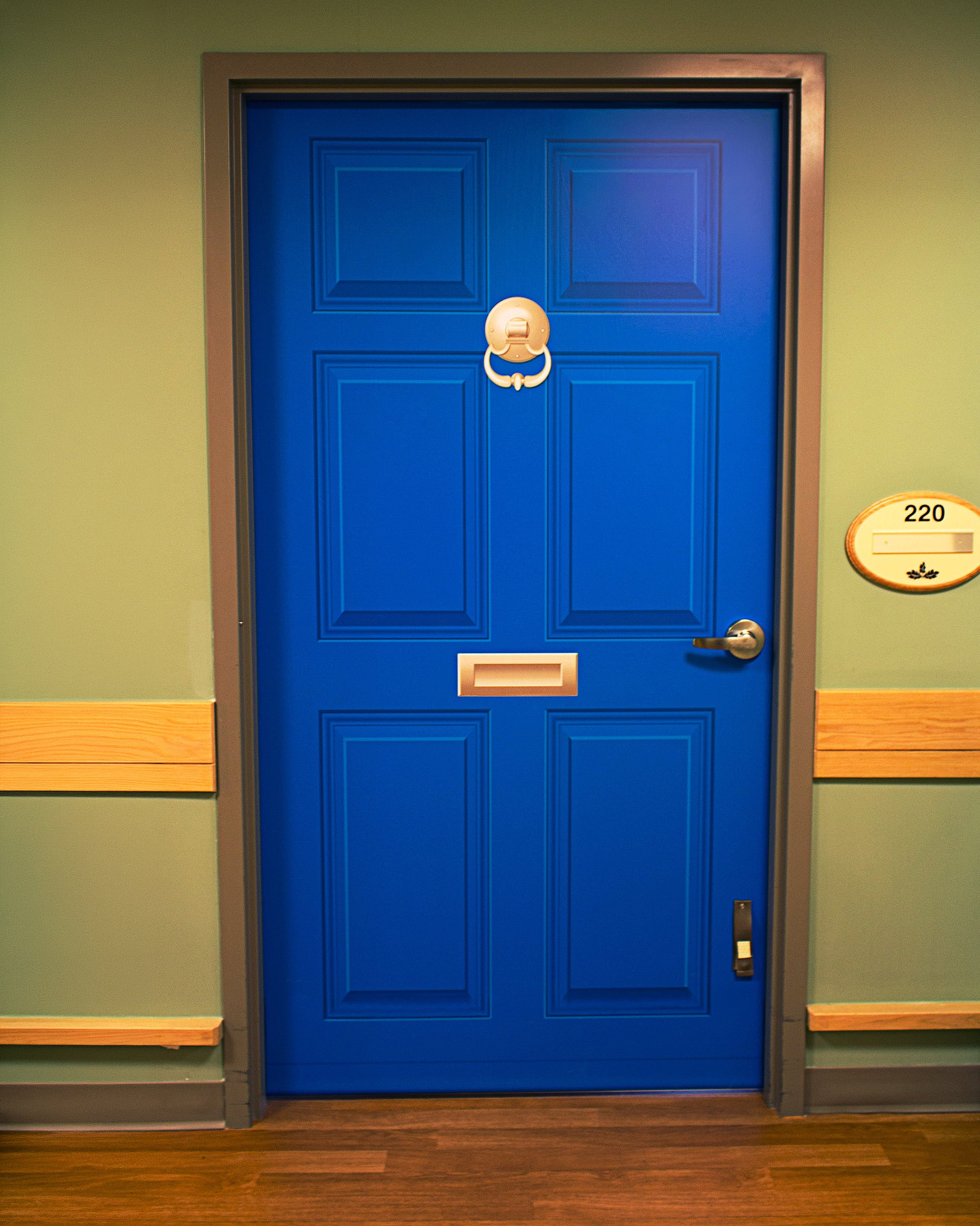 Memory Care Door Cover