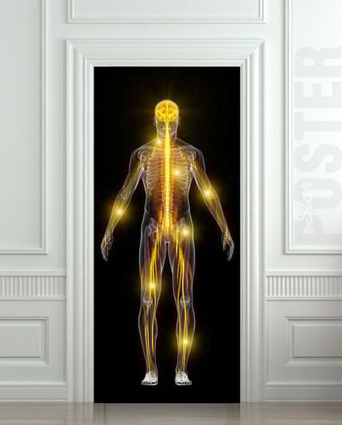 Door STICKER skeleton medical spectre ghost phantom apparition spook mural decole film self-adhesive poster 30"x79"(77x200 cm) - Pulaton stickers and posters
 - 1