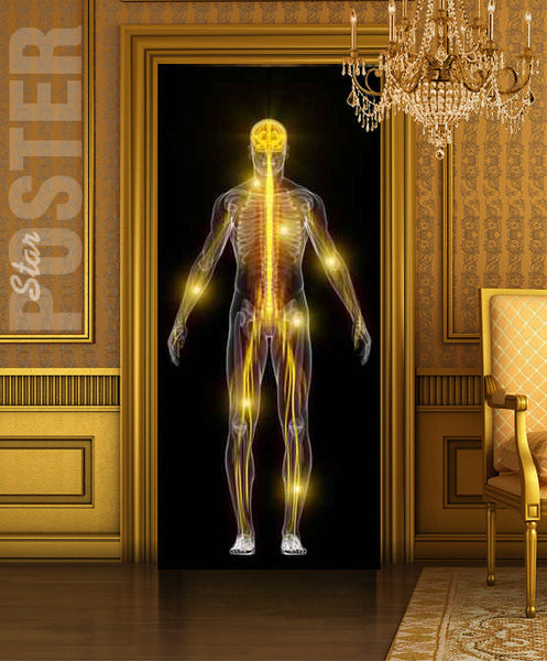 Door STICKER skeleton medical spectre ghost phantom apparition spook mural decole film self-adhesive poster 30"x79"(77x200 cm) - Pulaton stickers and posters
 - 2