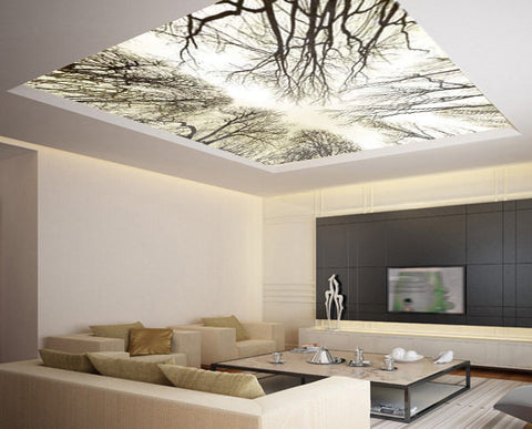 Ceiling STICKER MURAL sky trees forest airly air decole poster - Pulaton stickers and posters
 - 1