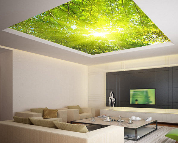 Ceiling STICKER MURAL leaves trees spring forest airly air decole poster - Pulaton stickers and posters
 - 1